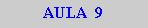 Caixa de texto: AULA  9