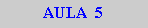 Caixa de texto: AULA  5
