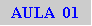 Caixa de texto: AULA  01