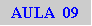Caixa de texto: AULA  09