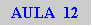 Caixa de texto: AULA  12