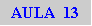 Caixa de texto: AULA  13