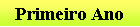 Caixa de texto: Primeiro Ano