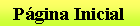 Caixa de texto: P�gina Inicial
